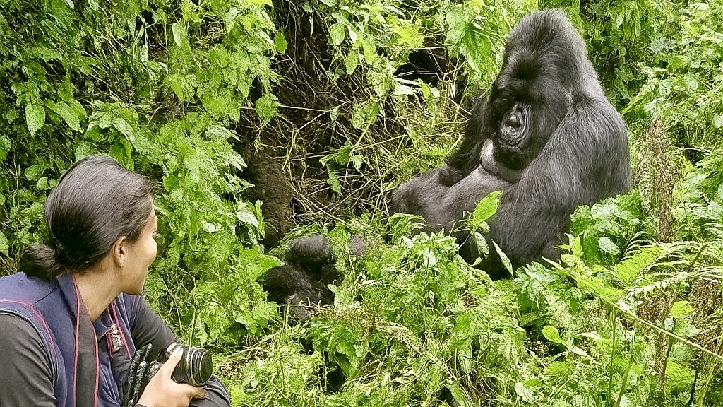 Tag 8 – Berggorilla-Trekking Bwindi