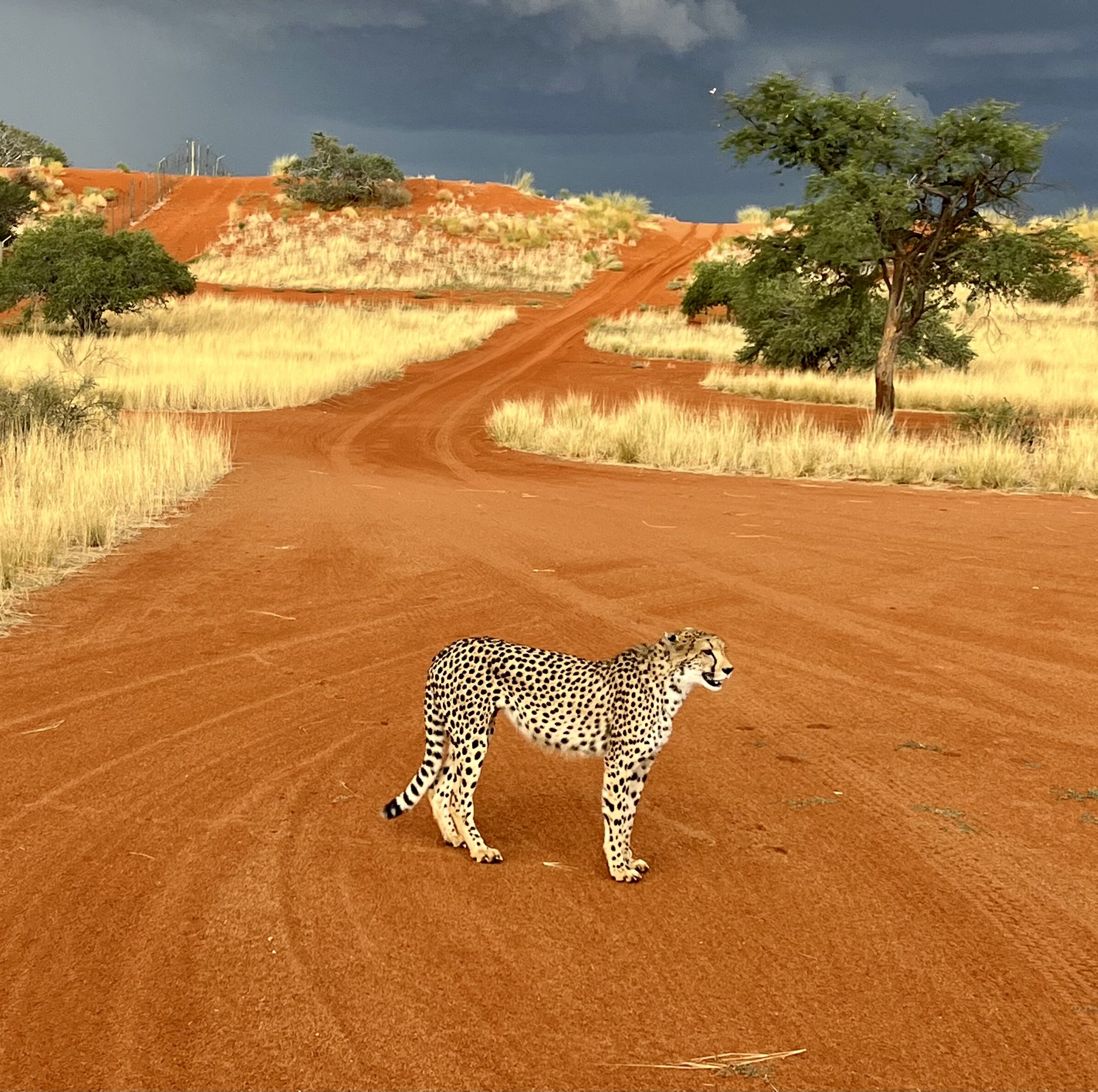 Namibia