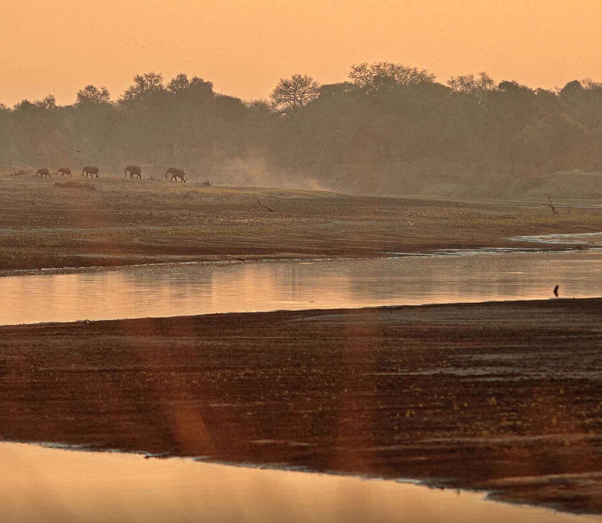 Days 11–13 – South Luangwa National Park