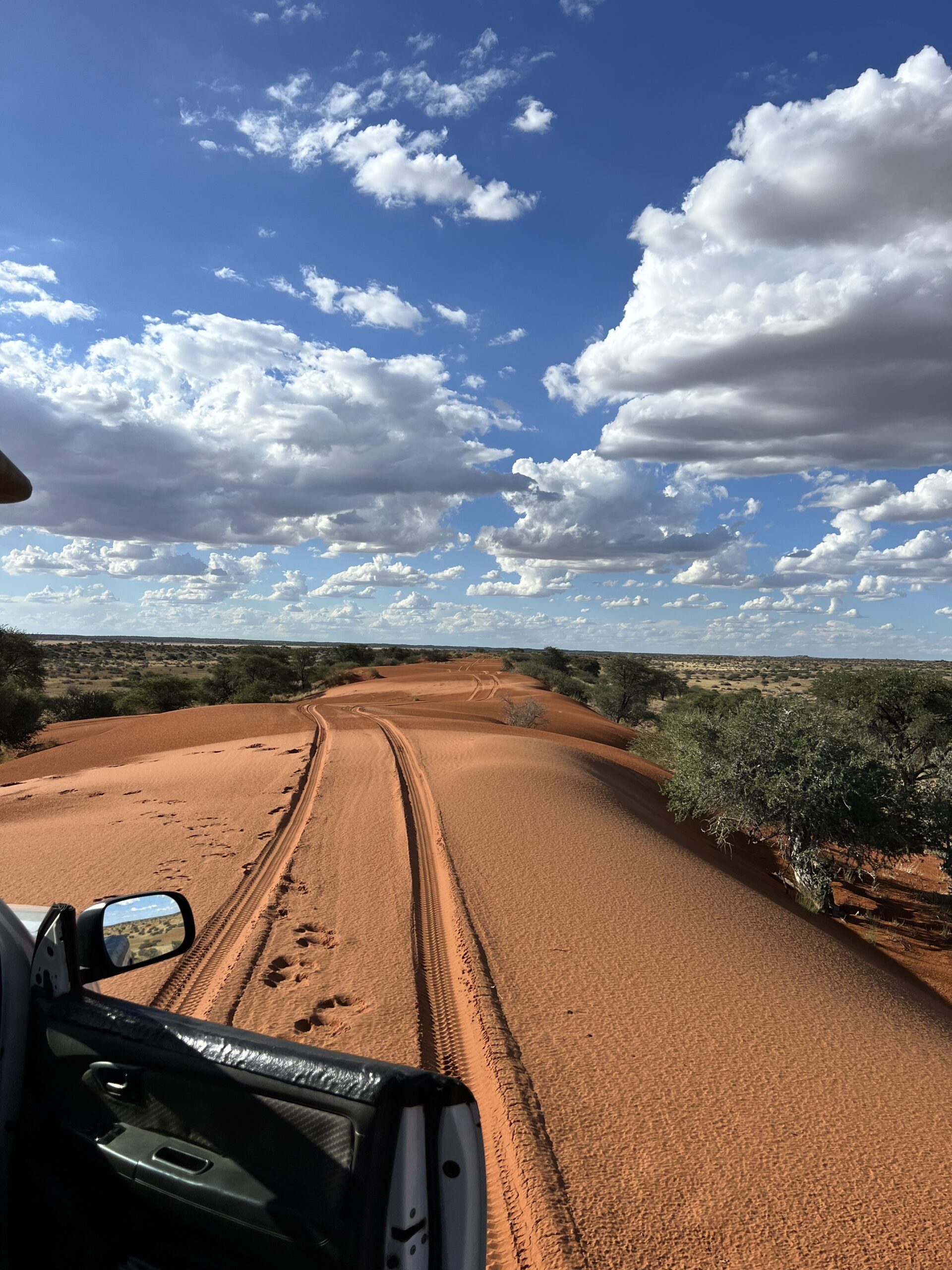 Day 1 – Windhoek → Kalahari