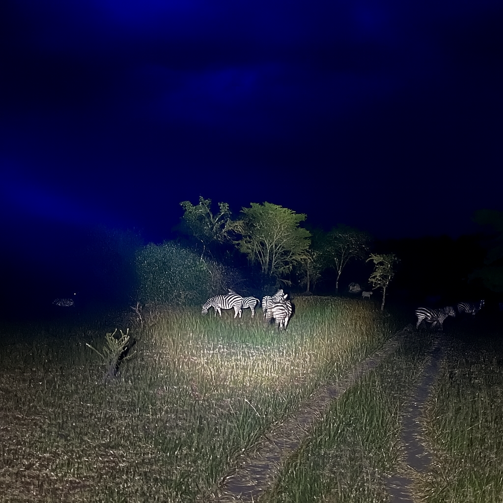 Tag 9 – Lake Mburo Nationalpark