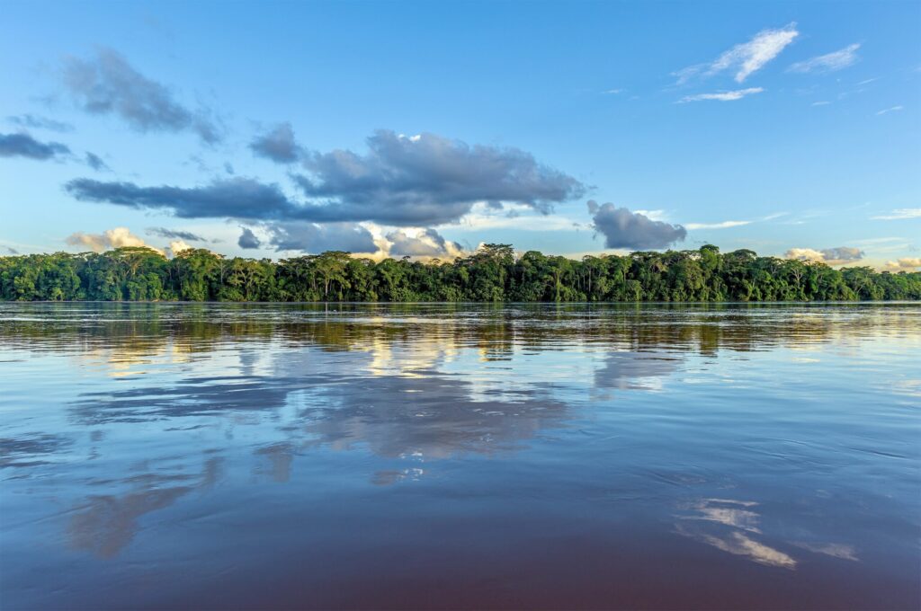 Tag 4 – Essequibo-Fluss-Tour