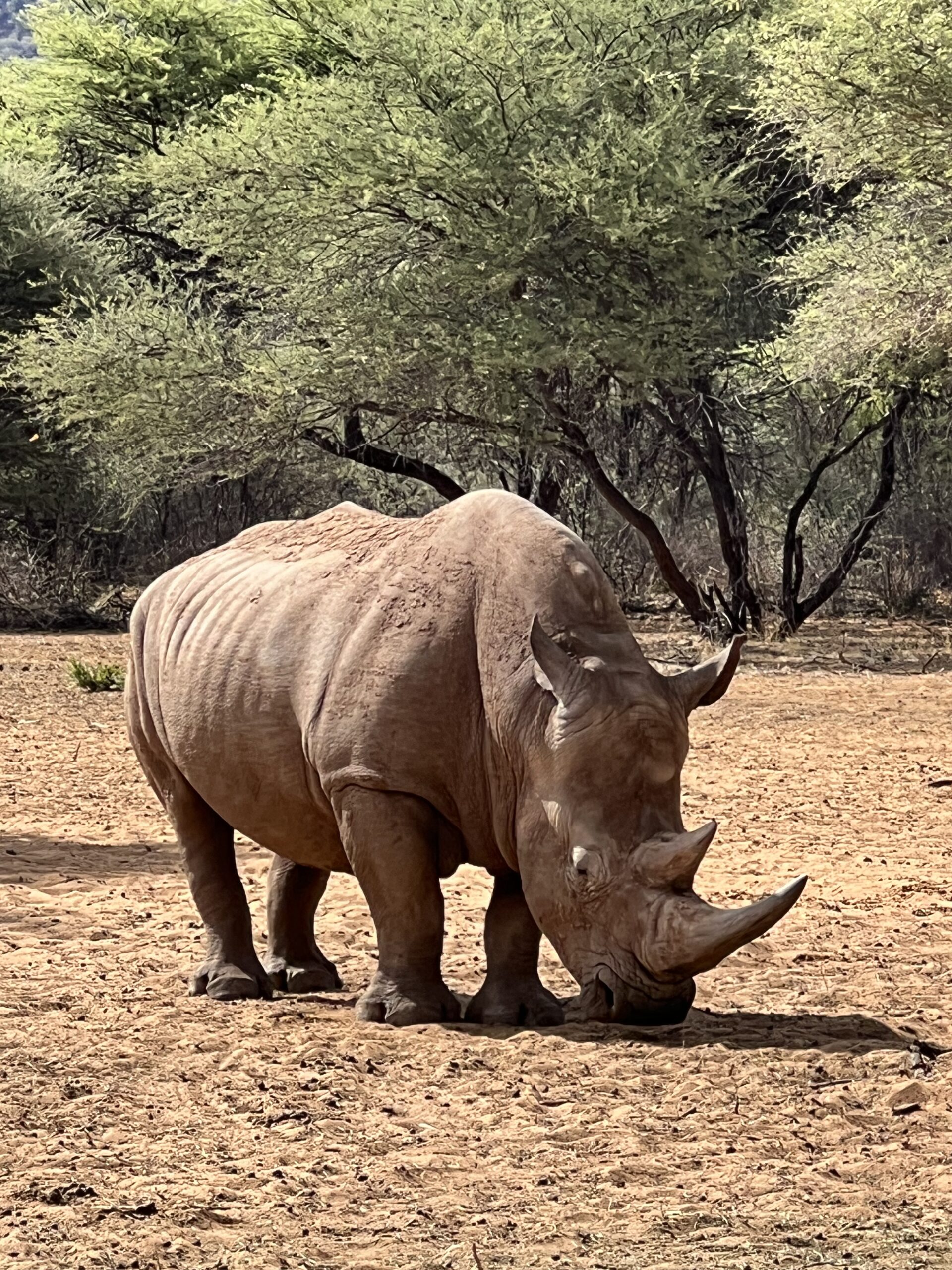 Day 14 – Cubango → Waterberg Plateau
