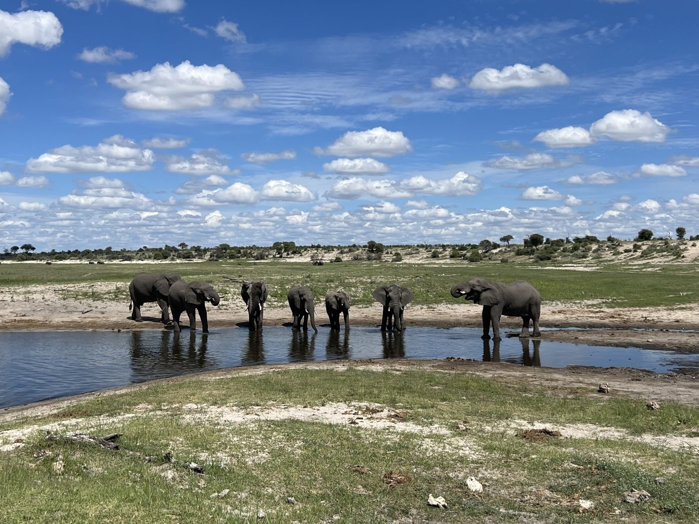 Botswana – Elefantenherde am Wasserloch