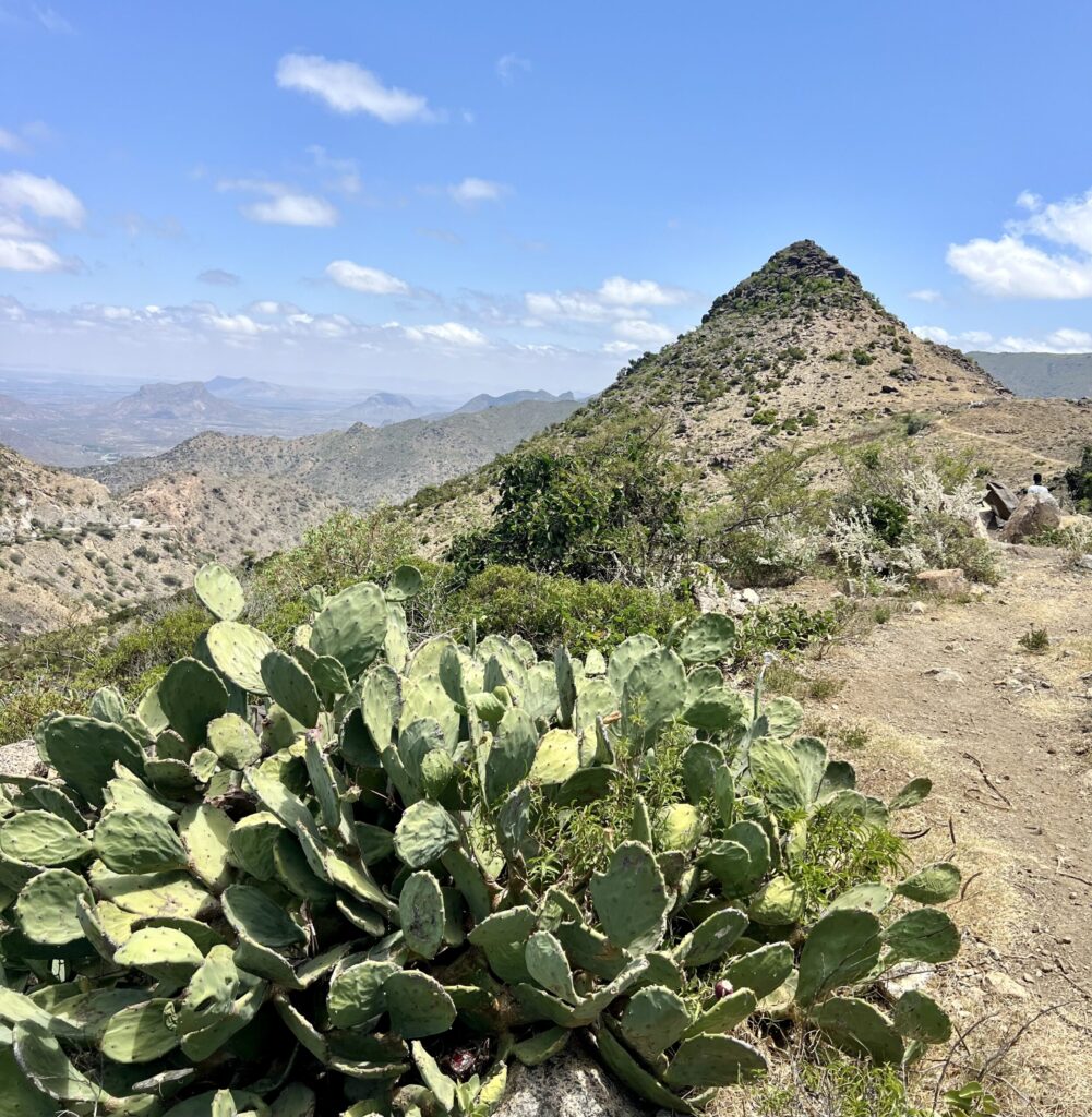 Tag 7 – Berbera Altstadt, Scheikh-Berge