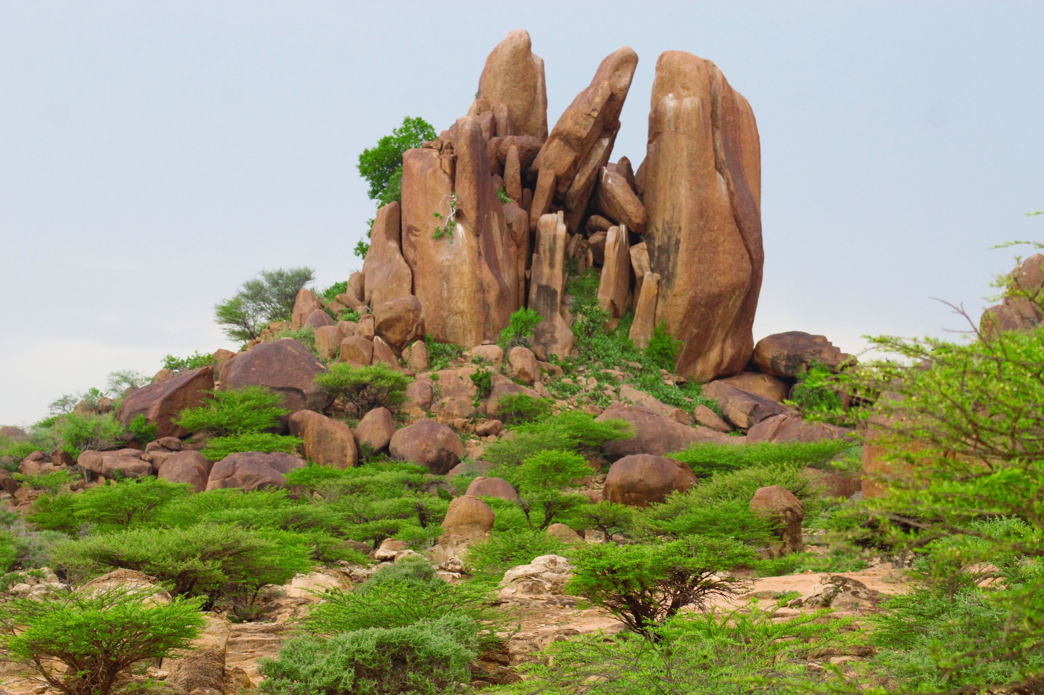 Tag 8 – Dhagah Koure, Abreise