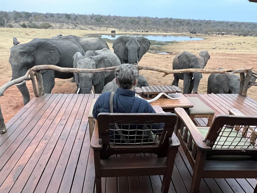 Tage 1–3 – Hwange Nationalpark: Khulu Bush Camp