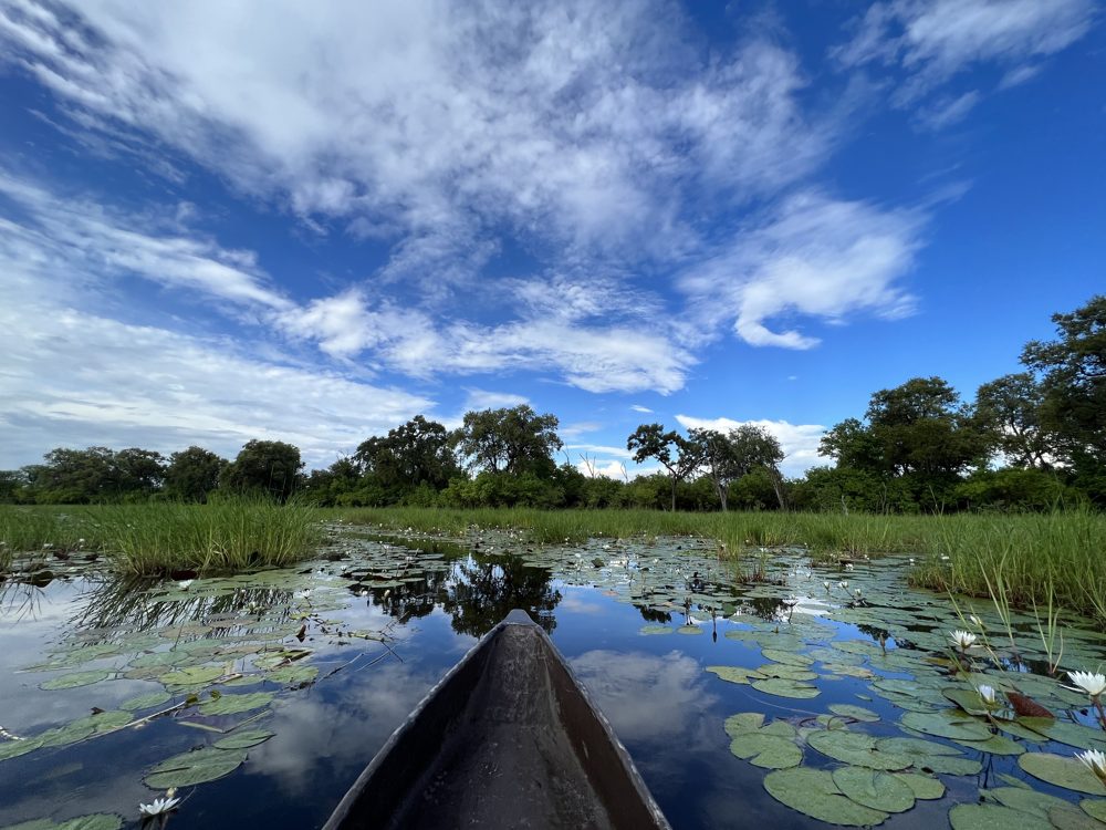 Tag 5–7 – Okavango-Delta: Machaba Camp, Mokoro-Safari