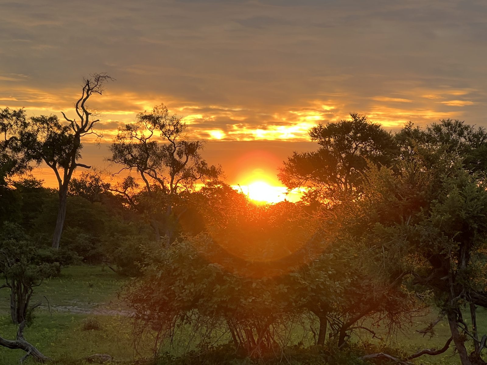Day 12 – Nambwa – Elephants, Boat & Bush