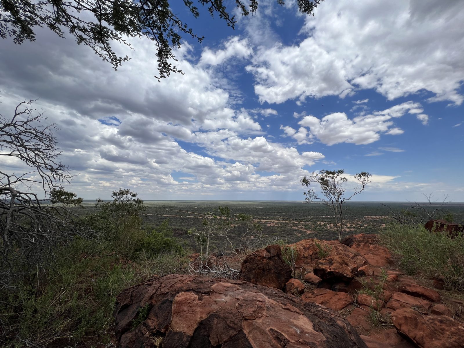Day 15 – Waterberg → Windhoek – Departure