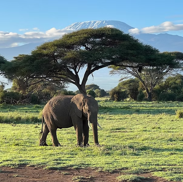 Kenya