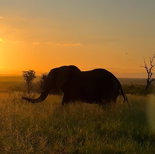 Eswatini