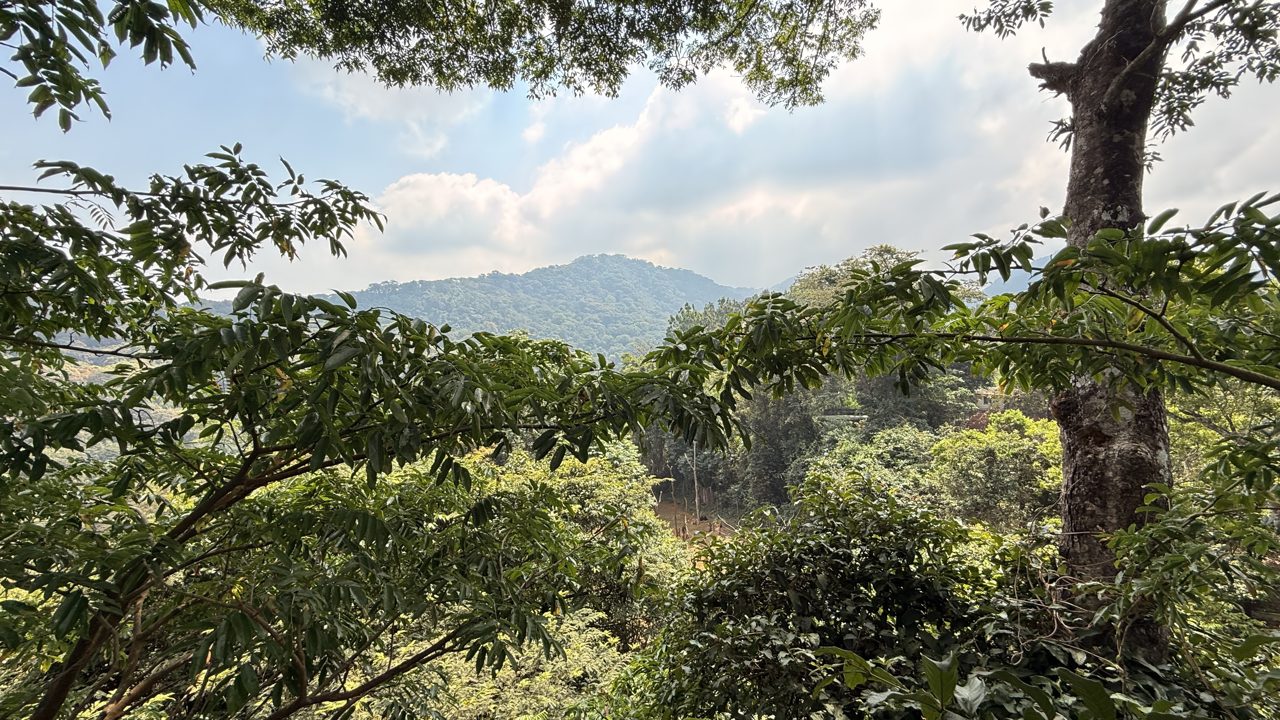 Sierra Leone